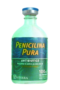PENICILINA antibiotico bacteria