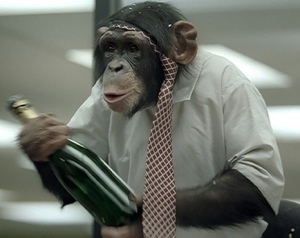 chimpance-bebiendo