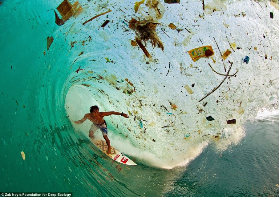 1 surf entre basura en Java
