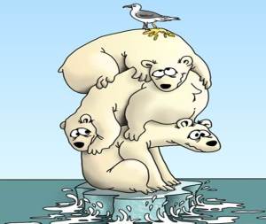 oso-polar-cambio-climatico